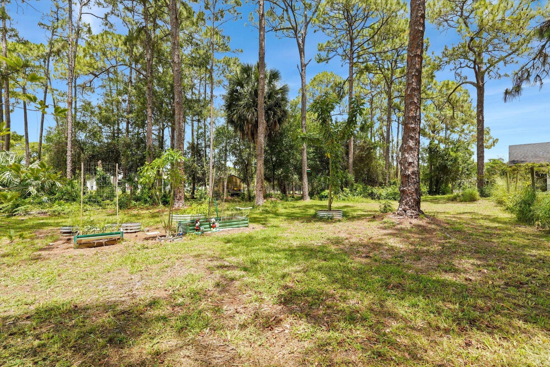 14844 N 63rd Ct Court N, The Acreage, FL 33470 Photo