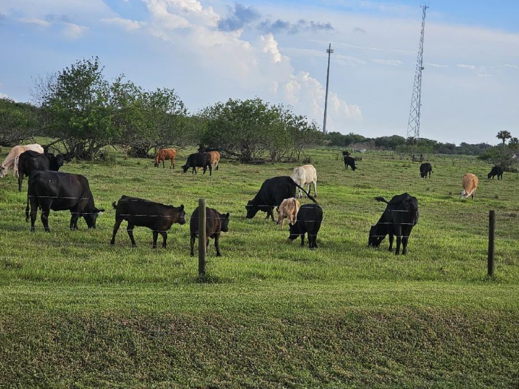 926 SW 44th Boulevard, Okeechobee, FL 34974 Photo
