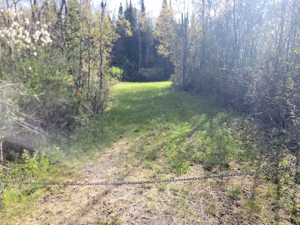 On CTH W, Winter, WI 54896