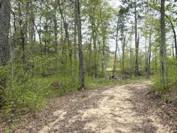 22132 Buckhorn Trail, Merrifield, MN 56465