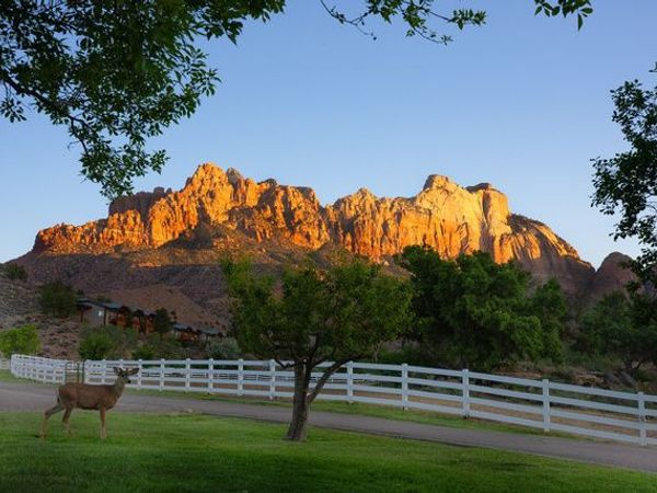 2428 ZION PARK BLVD, Springdale, UT 84767