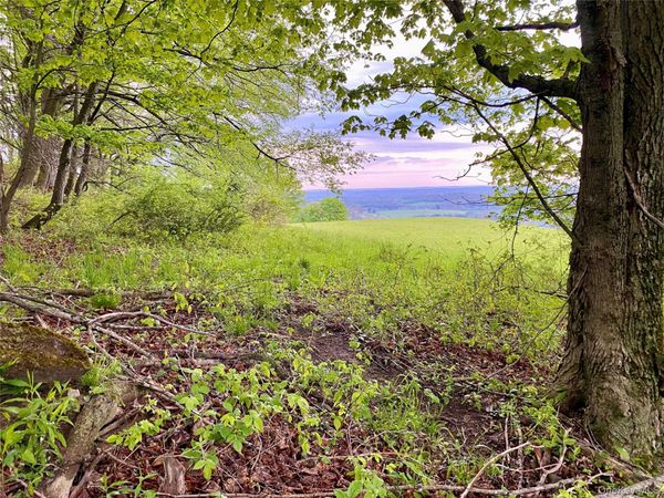 301 & 305 Hust Road Hust , Callicoon, NY 12748