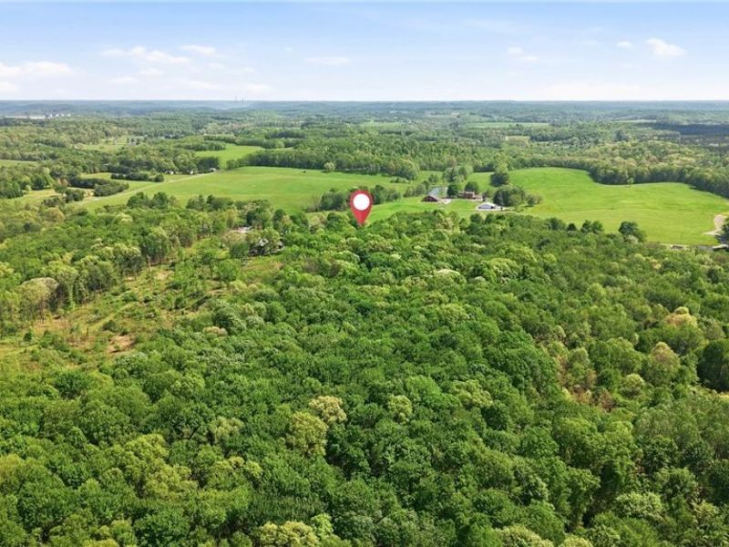 41534 Alderlick Road, Wellsville, OH 43968 Photo 15