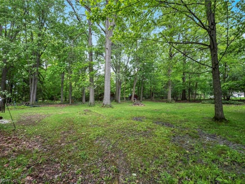 5769 Som Center Road, Willoughby, OH 44094 Photo 5