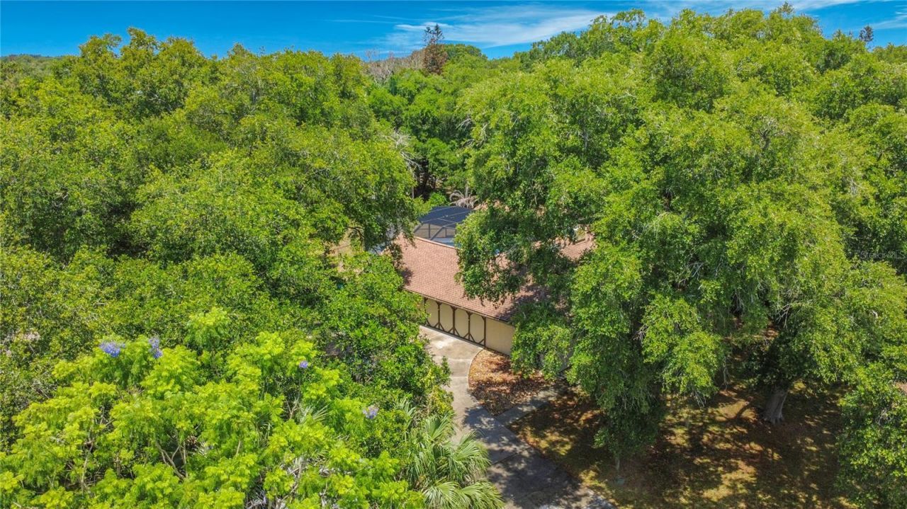 420 Nina Road Ne, Palm Bay, FL 32907 Photo