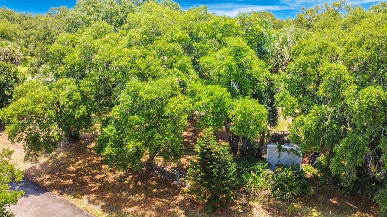 420 Nina Road Ne, Palm Bay, FL 32907 Photo
