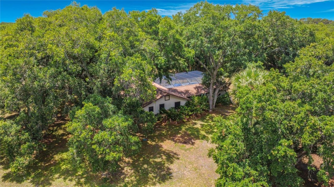 420 Nina Road Ne, Palm Bay, FL 32907 Photo