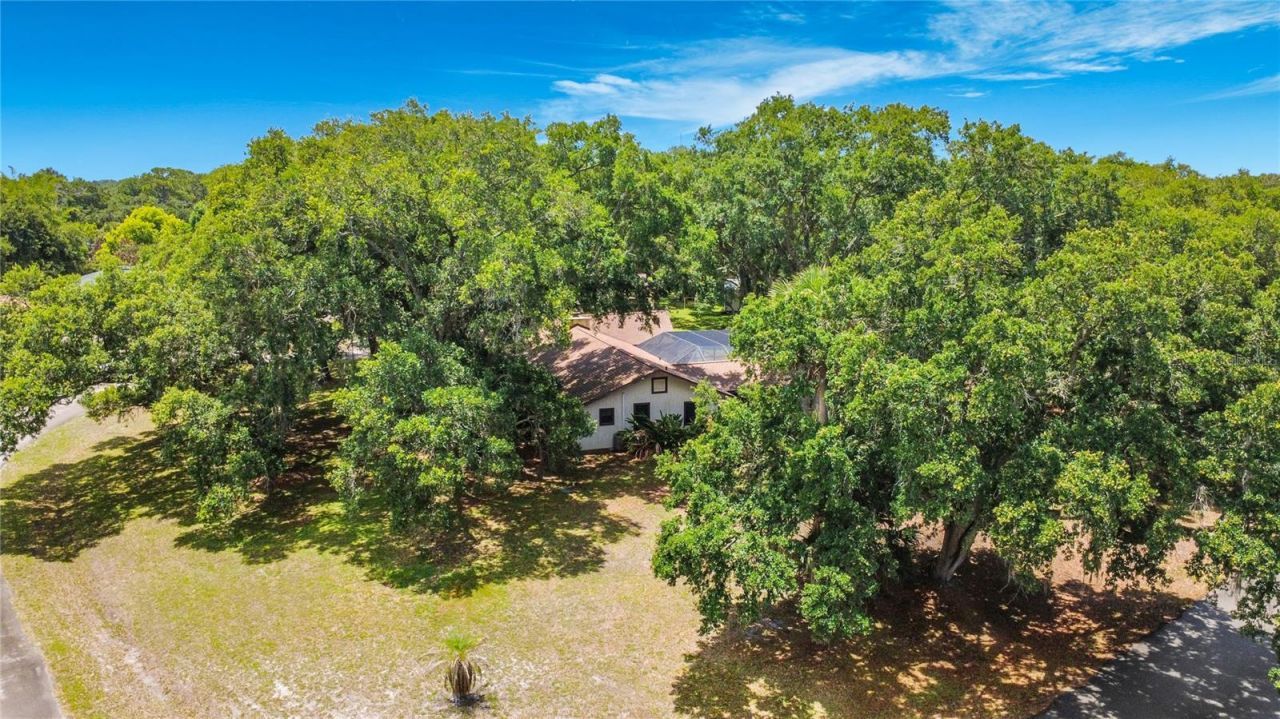420 Nina Road Ne, Palm Bay, FL 32907 Photo