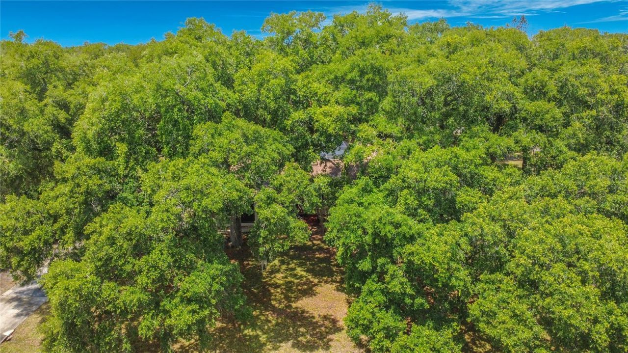420 Nina Road Ne, Palm Bay, FL 32907 Photo