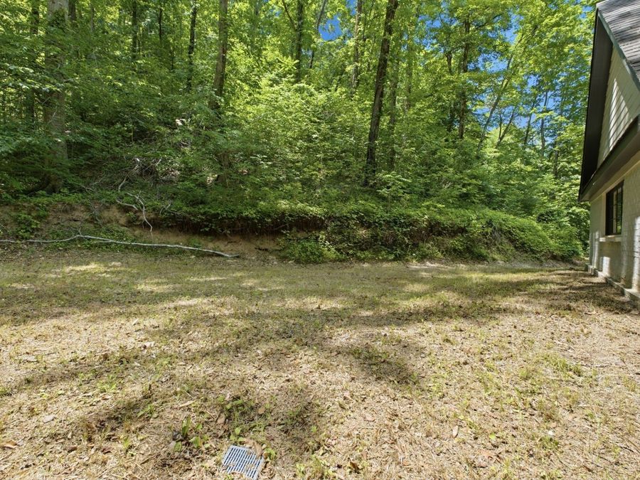 Property Image 58