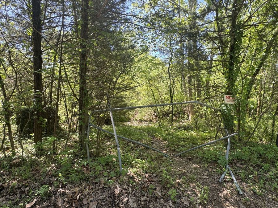 Property Image 17