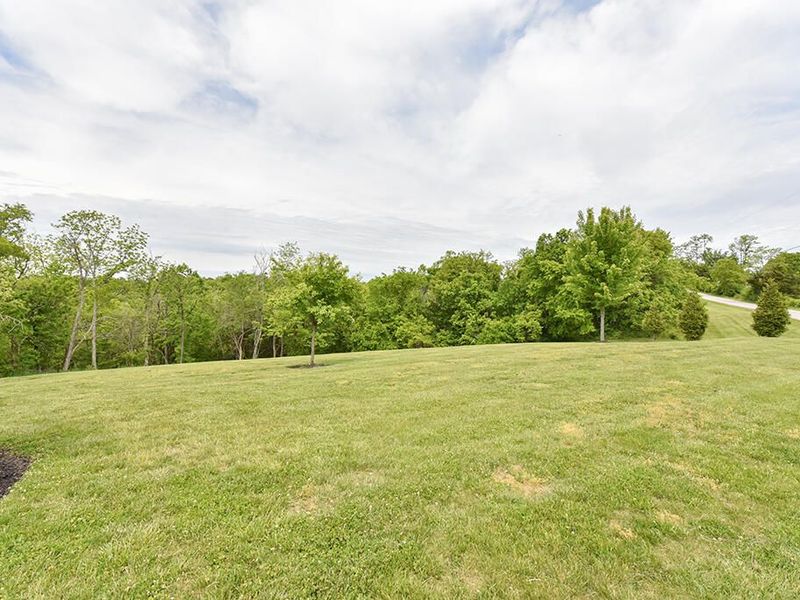 242 Belmont Road, Brooksville, KY 41004 Photo 36