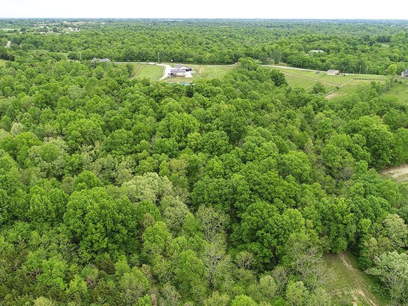 242 Belmont Road, Brooksville, KY 41004 Photo 42