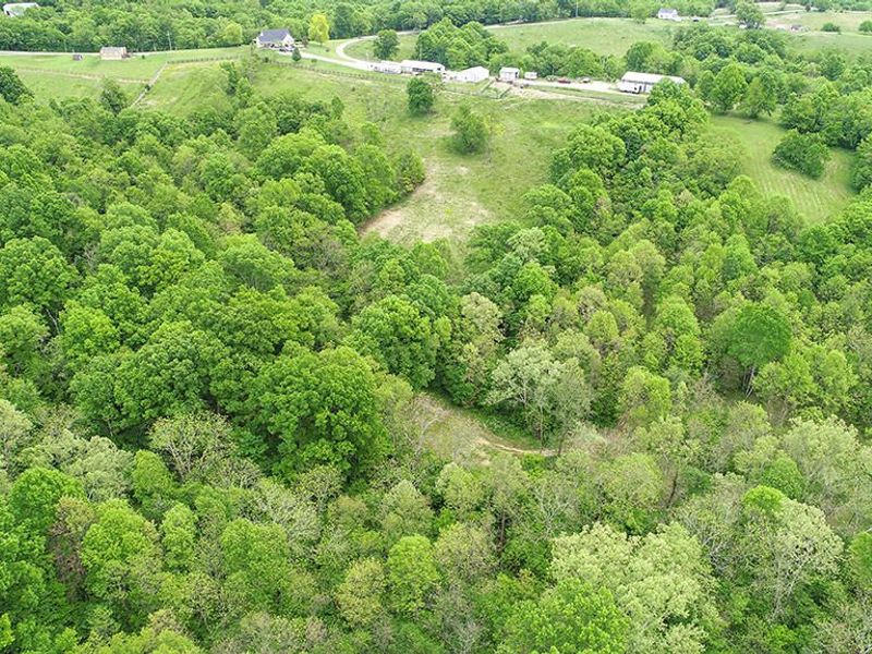 242 Belmont Road, Brooksville, KY 41004 Photo 43
