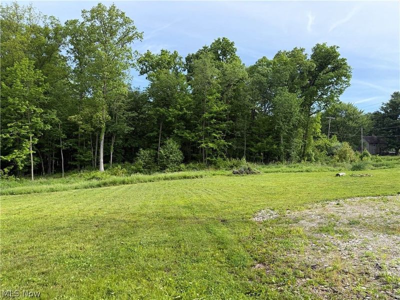 9322 Wadsworth Road, Marshallville, OH 44645 Photo 2