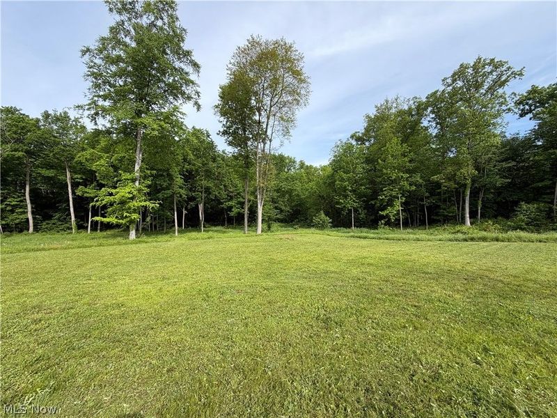 9322 Wadsworth Road, Marshallville, OH 44645 Photo 3