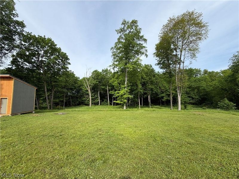 9322 Wadsworth Road, Marshallville, OH 44645 Photo 4