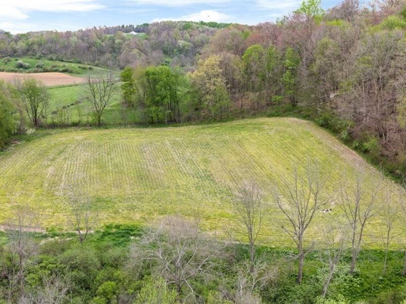 9240 Township Road 659, Dundee, OH 44624 Photo 10