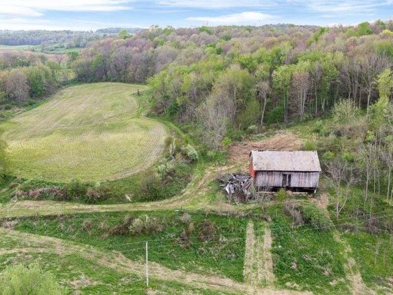 9240 Township Road 659, Dundee, OH 44624 Photo 12