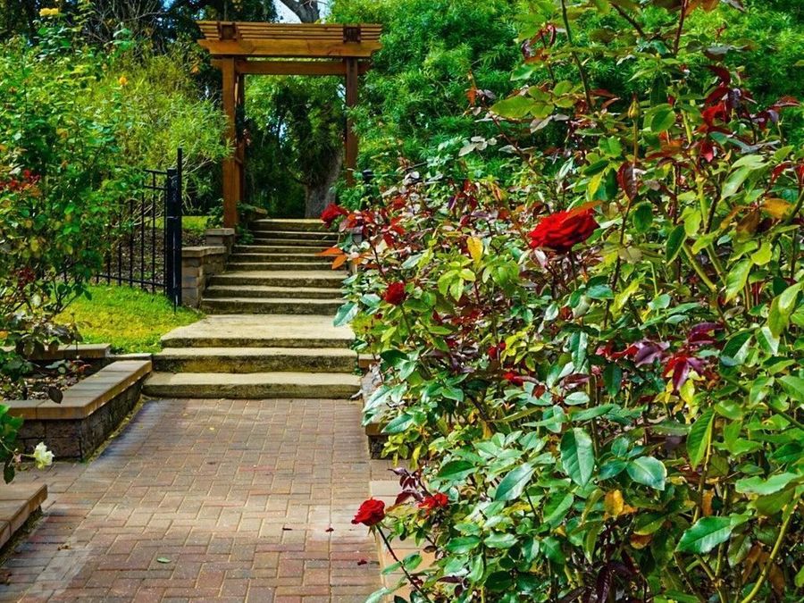 Property Image 44