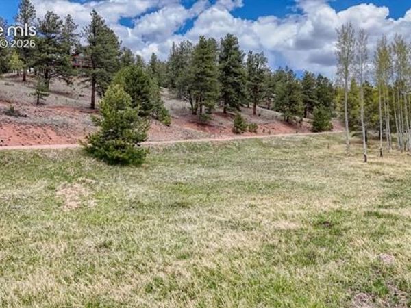 42 Rabbit Circle, Florissant, CO 80816