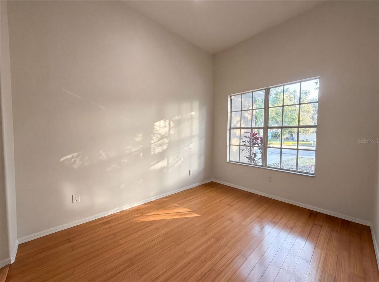 203 Taylor Bay Lane, Brandon, FL 33510 Photo