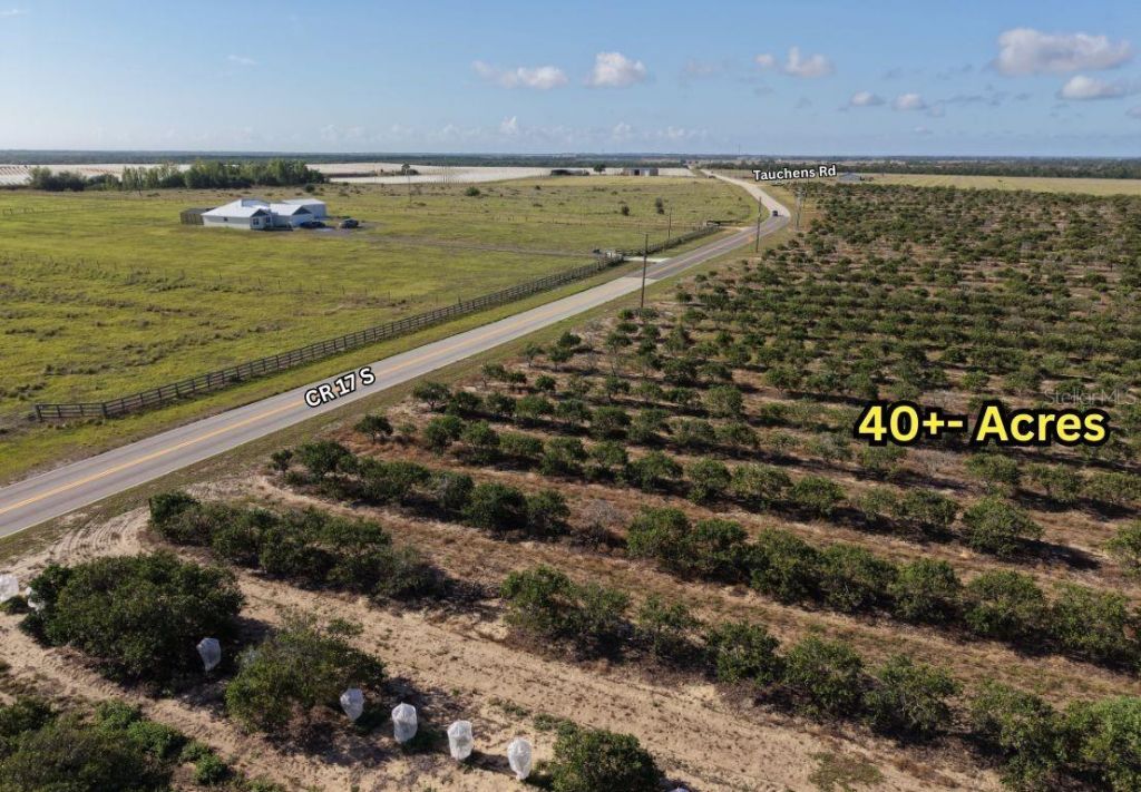 8961 County Road 17 S, Sebring, FL 33876 Photo