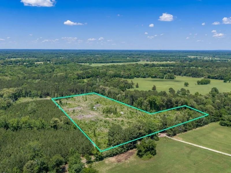 Tbd Mule Deer Road, Gilmer, TX 75644 Main Photo