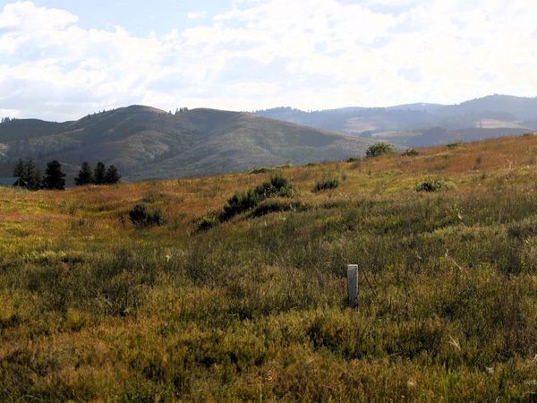 TBD Trail Lane, Council, ID 83612