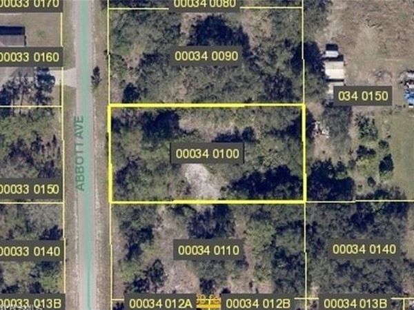 1004 Abbott AVE , LEHIGH ACRES, FL 33972