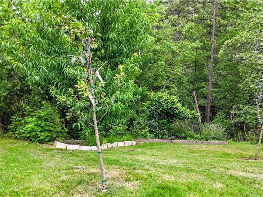 Property Image 47