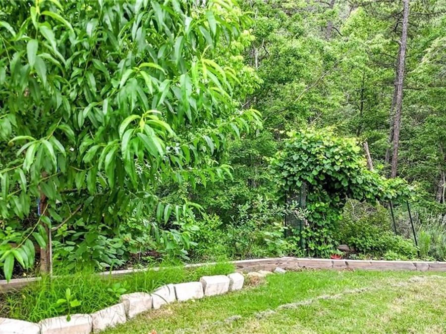 Property Image 49