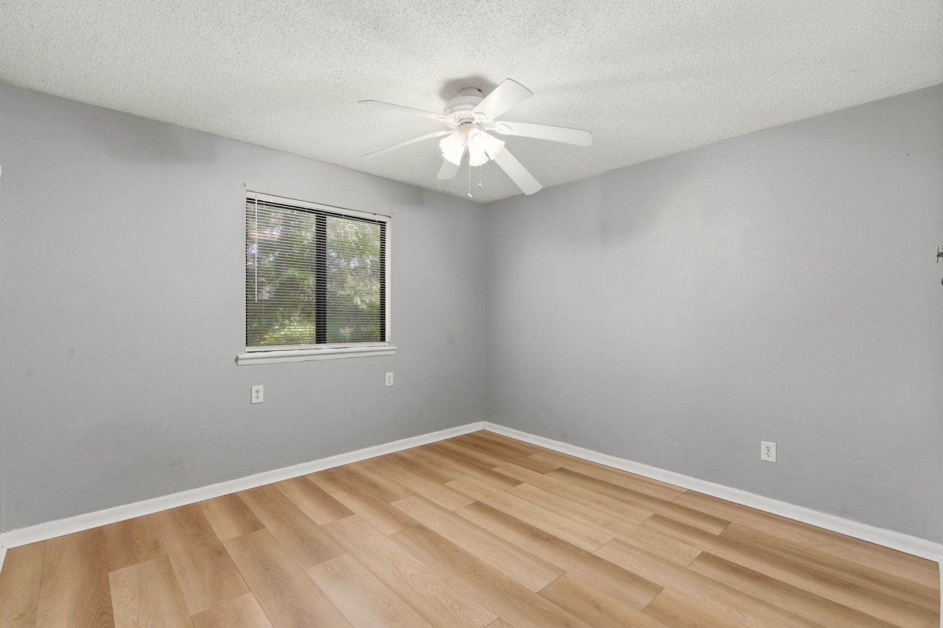 3555 Highway 544  Photo 16
