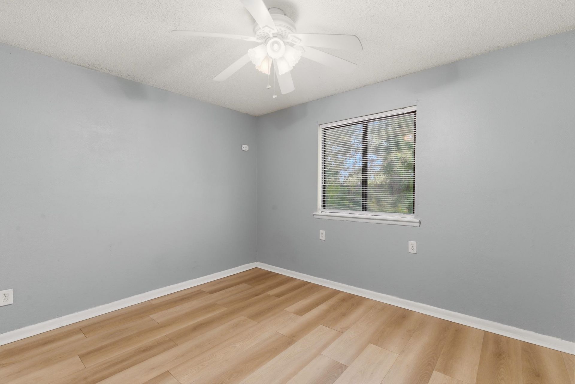 3555 Highway 544  Photo 17