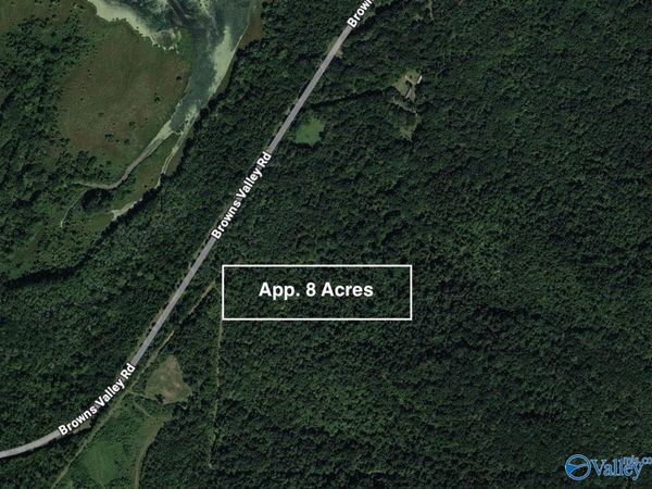 Tract 1 Browns Valley Road, Guntersville, AL 35976