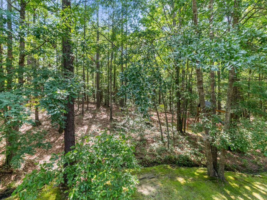 Property Image 59