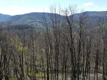 15 Hawthorne Ridge Rd, Slatyfork, WV 26291