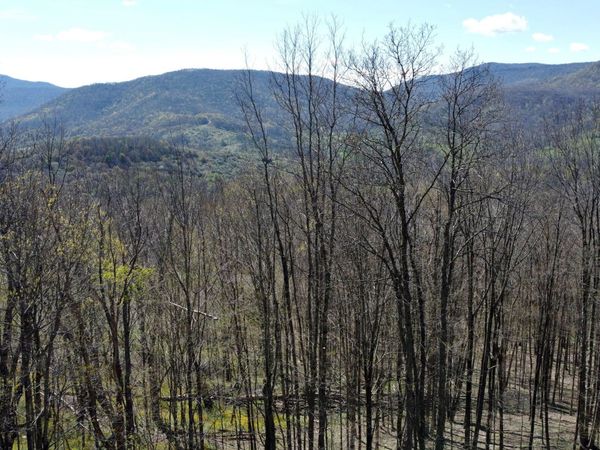 15 Hawthorne Ridge Rd, Slatyfork, WV 26291
