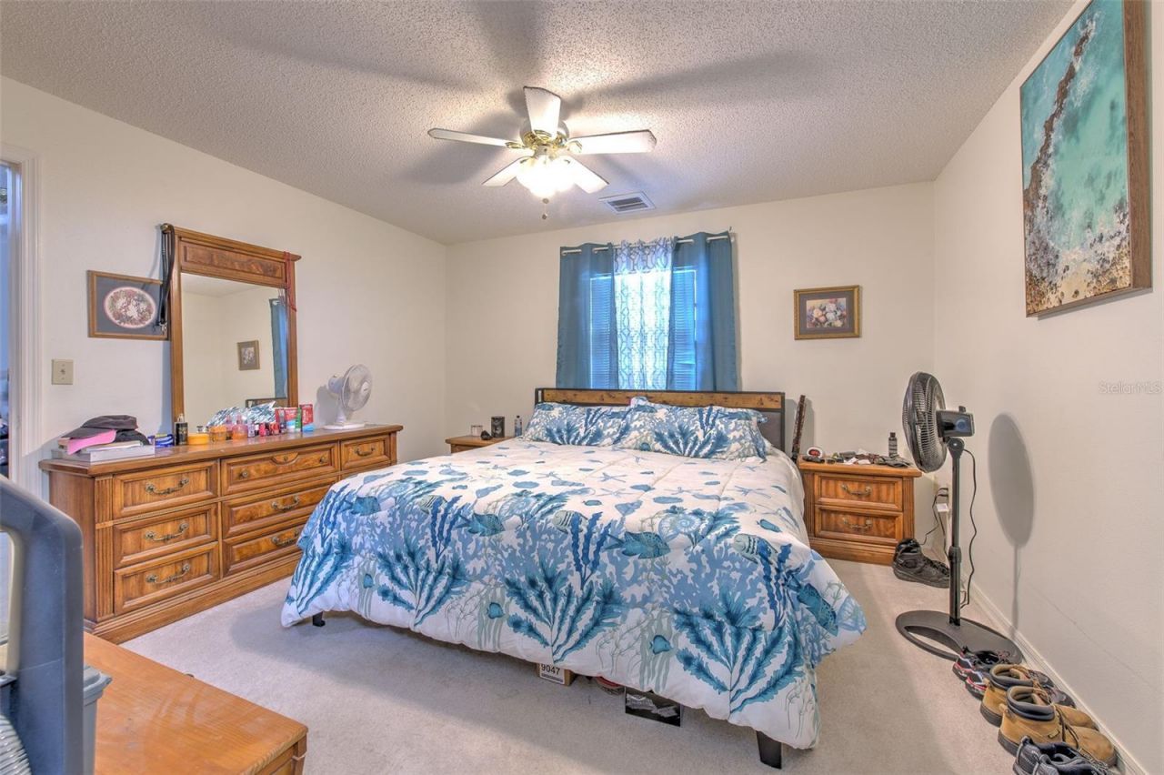 38620 Alpha Avenue, Zephyrhills, FL 33540 Photo