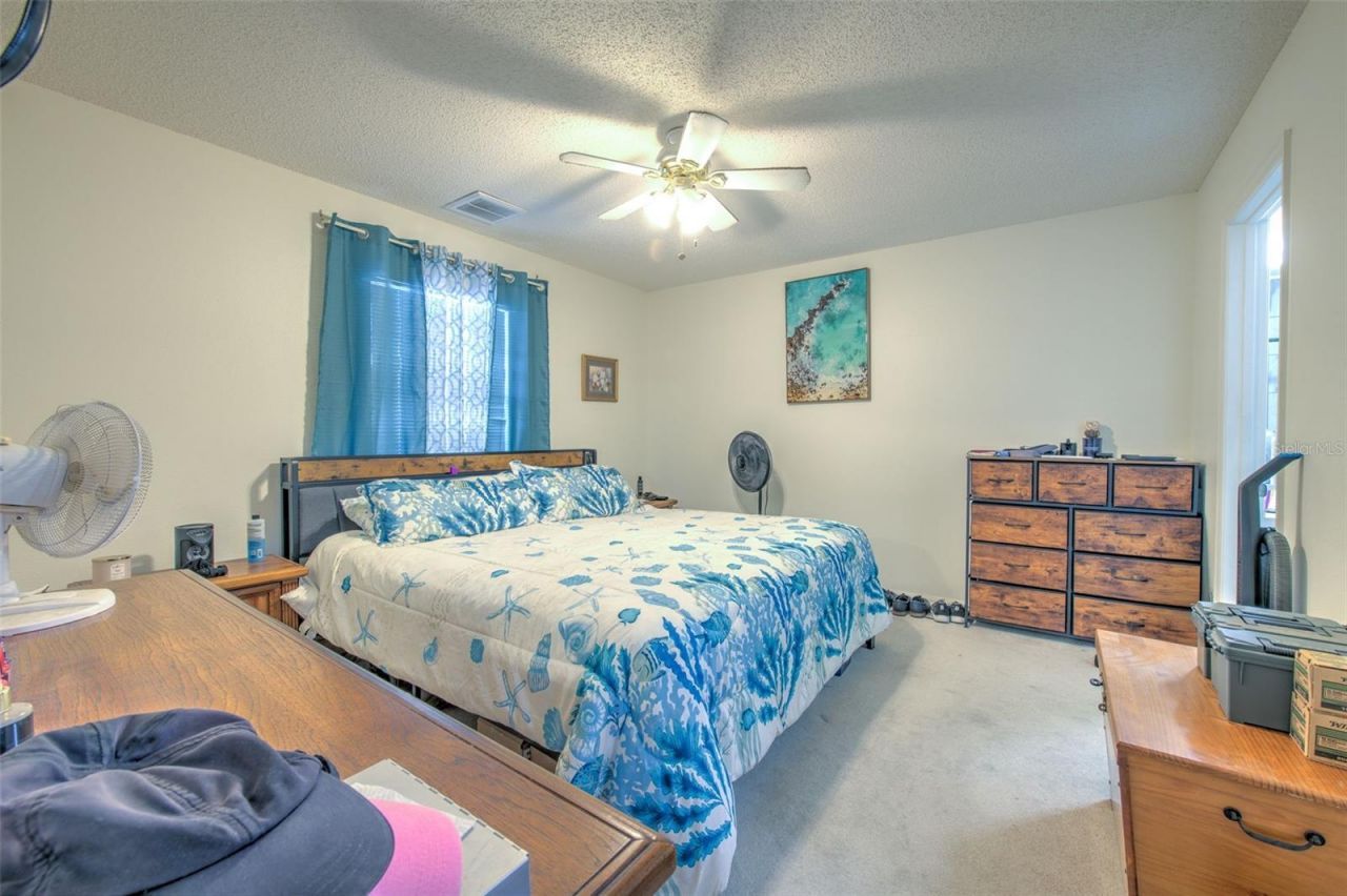 38620 Alpha Avenue, Zephyrhills, FL 33540 Photo
