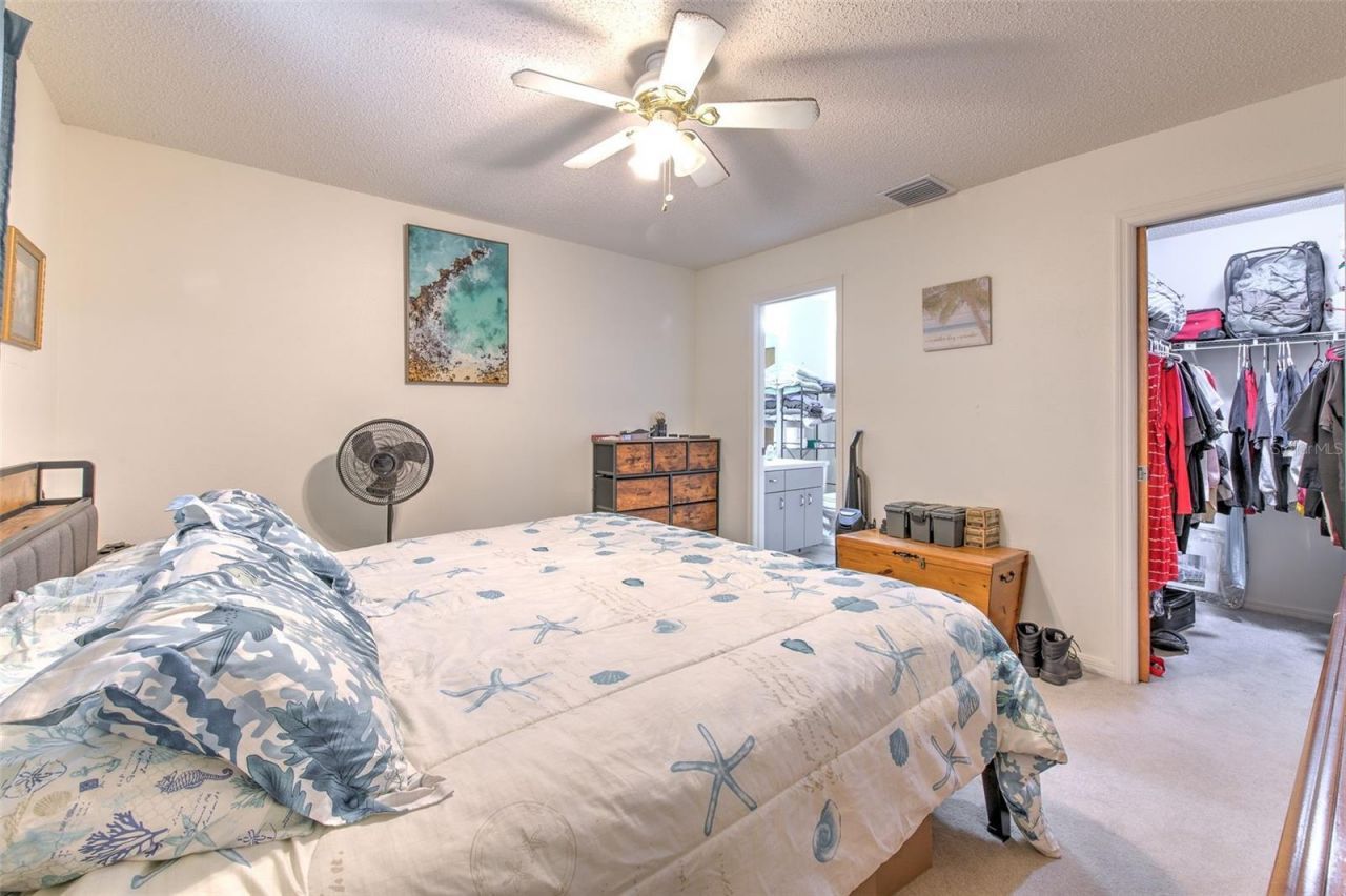 38620 Alpha Avenue, Zephyrhills, FL 33540 Photo