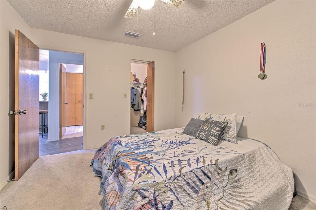 38620 Alpha Avenue, Zephyrhills, FL 33540 Photo
