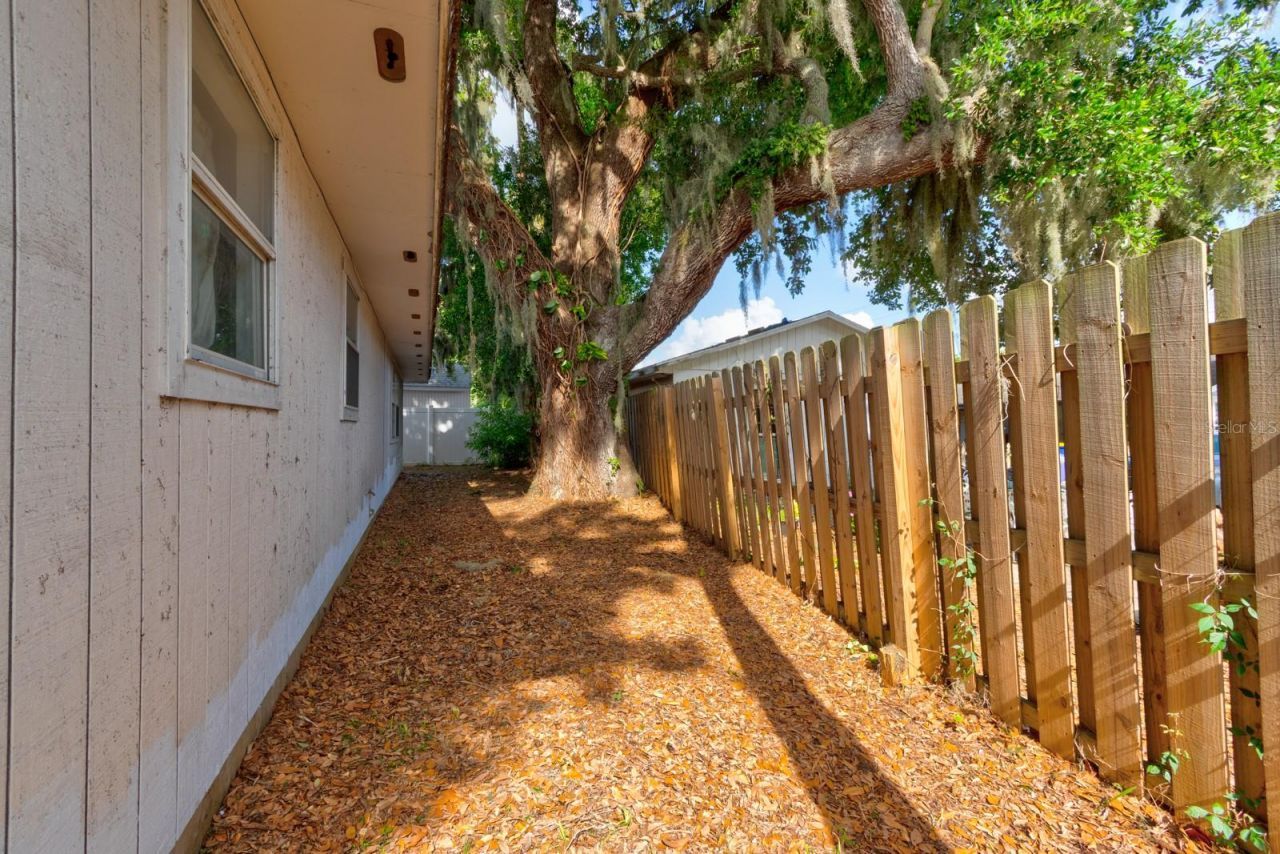 119 Bigelow Drive, Edgewater, FL 32132 Photo