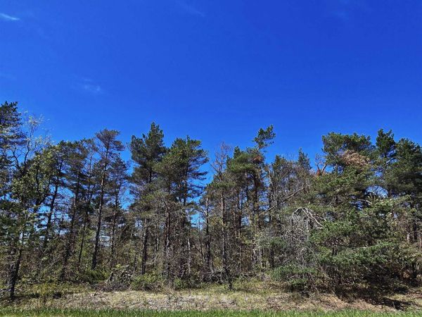 253 Country Club Drive, Mancelona, MI 49659