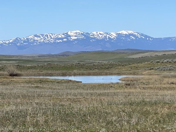 TBD Indian Valley Rd Parcel 5, Indian Valley, ID 83632