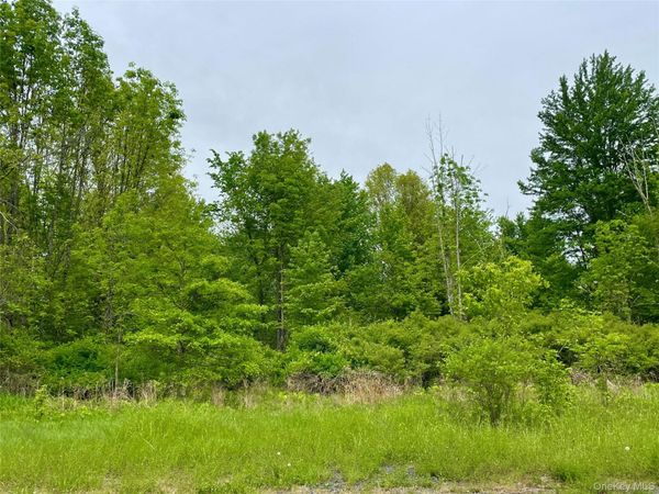 Orchard Drive , Plattekill, NY 12568