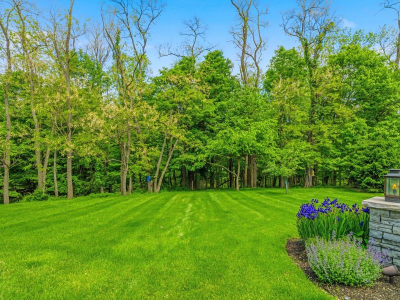 672 Bigham Ridge Boulevard, Westerville, OH 43081 Photo 82