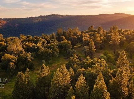 3220 Dawn Rose Ln, Placerville, CA 95667 Photo