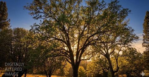 3220 Dawn Rose Ln, Placerville, CA 95667 Photo