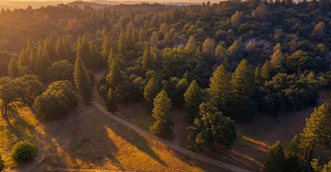 3220 Dawn Rose Ln, Placerville, CA 95667 Photo